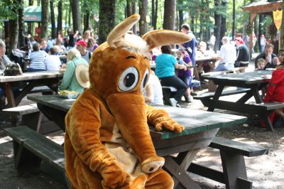 An Aardvark in King Richard's Court
The Wanderer Aardvark visits King Richard's Fair
