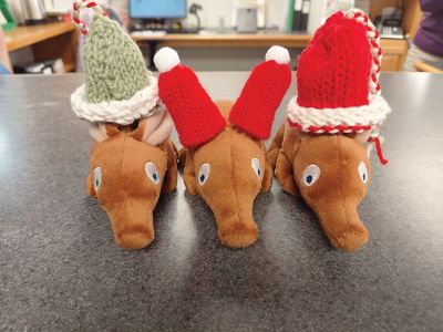 Plumb Library
Aardvarks getting into the Christmas spirit at the Plumb Library. Photo by Chrystal Martin
