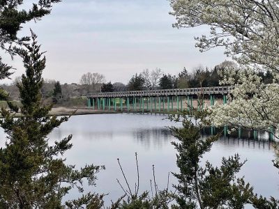Mattapoisett Bike Path
A newly signed Memorandum of Understanding between the Town of Mattapoisett and the Commonwealth of Massachusetts has opened the Shining Tides section of the Mattapoisett Bike Path. On Monday, people and dogs could be seen along the attractive structure that connects Reservation Road to Goodspeed Island Road. Photos by Mick Colageo

