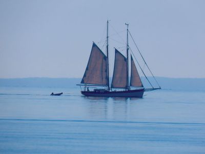 Mattapoisett Harbor 
A beautiful ship entering Mattapoisett Harbor Sunday Morning. Photo courtesy Faith Ball
