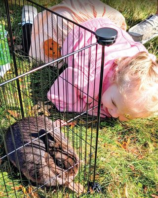 ORR’s Fall Family Fun Day
Quinn Nelles of Rochester takes a close look at a rabbit during ORR’s Fall Family Fun Day & Craft Market on October 24.

