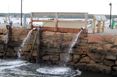 Tropical Storm
Tenacious, out of Marion, was among the many boats hauled out of the water under the threat of a tropical storm last weekend. The storm was hyped up, but for the most part, missed the south coast. Photos by Mick Colageo
