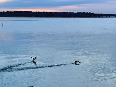Mattapoisett Harbor
Photo by Jennifer Shepley

