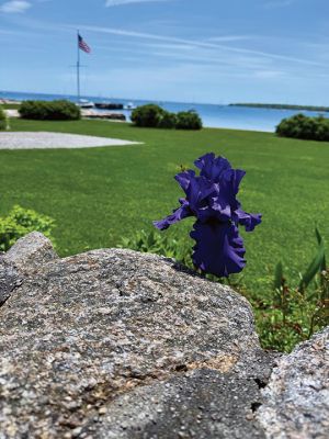 Mattapoisett
Photo by Jennifer Shepley
