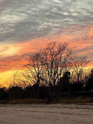 Mattapoisett
Photo by Jennifer Shepley
