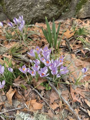 Mattapoisett
Photo by Jennifer Shepley
