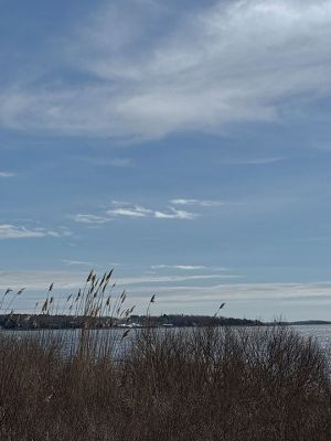 Mattapoisett
Photo by Jennifer Shepley
