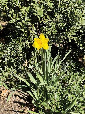 Mattapoisett
Photo by Jennifer Shepley
