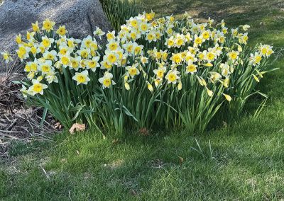 Mattapoisett
Photo by Jennifer Shepley
