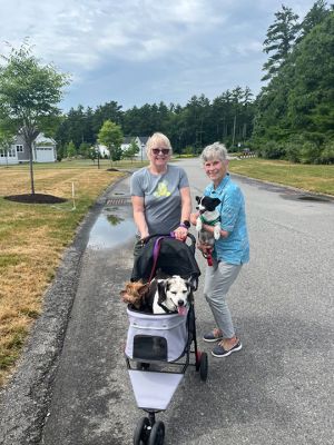 Village at Plumb Corner
Judy Sullivan shared this photo taken in Rochester at the Village at Plumb Corner, a dog-loving community.
