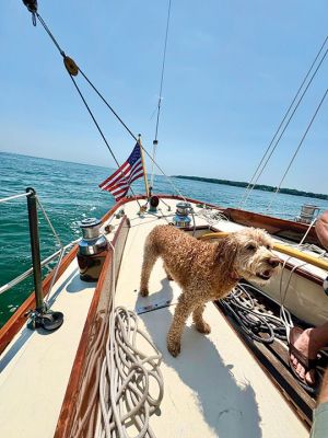 Mimi
Mimi sailing out of Sippican harbor. Photo by Greg Bongiorno
