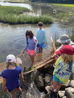 Marion Natural History Museum
The Marion Natural History Museum's July Coastal Exploration group had a fun week exploring some of Marion's natural areas. We examined green frog tadpoles and a frog metamorphosis, were invited to explore Ram Island, visited the donkeys and learned about filter feeders, including some of the largest ones like whales. We explored a salt marsh, cleaned up a rocky beach at Planting Island and removed the plastic waste from the wrack line before it entered or reentered the bay. Photo courtesy of Elizabeth Leid
