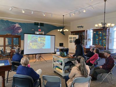 Marion Natural History Museum
The Marion Natural History Museum would like to thank Karen Alves Cronin for her excellent presentation on the basics of nature photography. We heard about the importance of “the rule of thirds,” balance, framing and many techniques for turning our smart phone into an art phone. To view our upcoming programs, please visit our website: www.marionmuseum.org. Photo courtesy of Liz Leidhold
