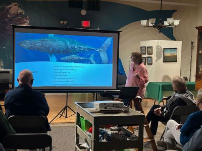 Marion Natural History Museum 
On Friday evening, the Marion Natural History Museum hosted Dr. Kathryn Kavanagh of UMass Dartmouth’s biology department. Speaking on Humpback whales, Dr. Kavanagh covered several stages, including giving birth (tail first), and how male humpbacks shield the mother while she’s giving birth by creating a bubble-net screen. She also mentioned at what point the young are the most vulnerable to entanglement and boat strikes. Many thanks to Dr. Kavanagh for her fascinating talk. Photo courtesy Elizabeth Leidhold

