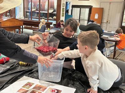 Marion Natural History Museum
The Marion Natural History Museum’s afterschool group had a fun time learning about the history and biology of cranberries in Massachusetts. Thanks to Pamela Francis of the Cape Cod Cranberry Growers Association the kids had chances to dissect, inspect and bounce their berries to determine whether they were of good quality. Thank you to Pam and the CCCA for a fun and informative program. Photo courtesy Elizabeth Leidhold
