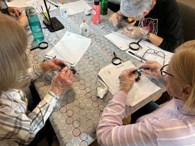 Marion Natural History Museum
On March 11, the Marion Natural History Museum's adult group had a chance to learn about owl-feeding habitats. Owls swallow their prey whole or in large pieces, and when the pellet is regurgitated, the undigestible pieces reappear. Bones, hair, and exoskeletons are common in owl pellets and can help observers identify the type of prey consumed as well as where it might have been caught. Many found more than one skull in their pellets. The group had fun together dissecting sterilized Barn Owl pellets and tak
