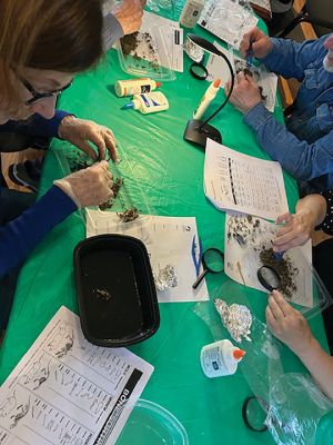 Marion Natural History Museum
On March 11, the Marion Natural History Museum's adult group had a chance to learn about owl-feeding habitats. Owls swallow their prey whole or in large pieces, and when the pellet is regurgitated, the undigestible pieces reappear. Bones, hair, and exoskeletons are common in owl pellets and can help observers identify the type of prey consumed as well as where it might have been caught. Many found more than one skull in their pellets. The group had fun together dissecting sterilized Barn Owl pellets and tak
