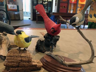 Marion Natural History Museum
The Marion Natural History Museum wishes to thank Caroline Grainger for her donation of several beautifully carved birds created by her father, James Babbit. The museum lost many of its specimens during our ceiling collapse and these incredibly detailed pieces are greatly appreciated. The museum is hoping to create a new display of nature-inspired artwork from local artists and these specimens are a great start. Photos courtesy Elizabeth Leidhold
