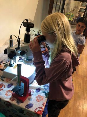 Marion Natural History Museum
The Marion Natural History Museum's Coastal Exploration summer program had a lot of fun last week exploring a variety of habitats in Marion. We took a close look at barrier beaches, vernal pools, salt marshes, and tide pools. We learned about the terns on Bird Island, the salamanders and tadpoles in vernal pools, and netted fish along the coastline. Photo courtesy Elizabeth Leidhold
