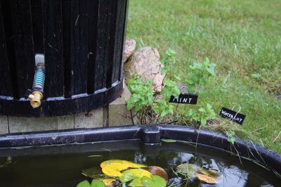 Secret Vegetable Garden Tour
The Friends of the Elizabeth Taber Library held their Secret Vegetable Garden Tour at four sites on Friday in Marion. Photos by Mick Colageo
