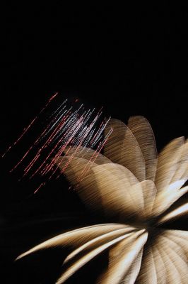 Back By Popular Demand 
And the rockets’ red glare, fireworks bursting in air over Sippican Harbor during the Marion fireworks, which resumed this year after a surge in fundraising efforts to bring the tradition back to Silvershell Beach. Photo by Jean Perry
