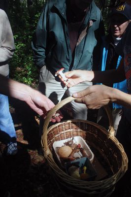 Mushroom Walk
The Sippican Lands Trust and the Boston Mycological Club took a large group out on Sunday for a mushroom walk at the White Eagle Property in Marion. Participants gathered hundreds of mushrooms and laid them out on a long table for mushroom experts Ken Fienberg and Chris Neefus to help identify. Photos by Jean Perry
