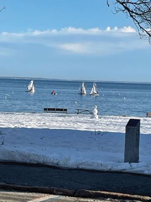 Mattapoisett
Spring has sprung. Photo courtesy of Nancy DiPietro
