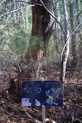 Pierson Woods 
In Marion, Pierson Woods (the Sippican Lands Trust property off Point Road) is presently hosting the TTAR story walk, “A Day With No Words,” based on the book by Tiffany Hammond and illustrated by Kate Cosgrove. The Pierson Woods story walk is sponsored by the Marion Cultural Council. Photos by Mick Colageo and Marilou Newell
