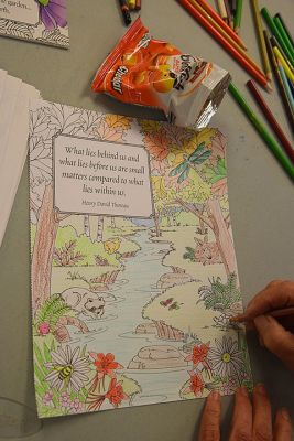 Peace with Paper
Peace with Paper, a drop-in event held at the Plumb Memorial Library. This event is to help build a better world through relaxing after a long day and is for kids and adults. Photo by Glenn C. Silva
