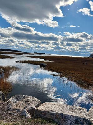 Angelica Ave Creek
The Creek on Angelica Ave in Mattapoisett on a cold, early November Day. Photo by Ruth A Griffin
