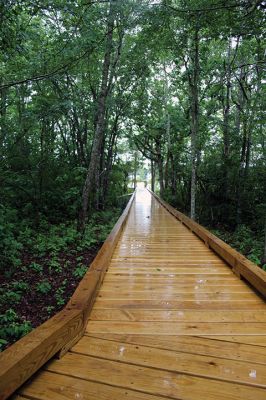 Osprey Marsh Accessible Boardwalk
Despite a downpour perfectly timed for its planned gathering on Friday off Point Road in Marion, the Sippican Lands Trust celebrated the completion of the new Osprey Marsh Accessible Boardwalk. Executive Director Jim Bride and president Alan Harris held a live Zoom meeting for those who could not attend, and some of the donors for the project assisted in the ribbon-cutting. The boardwalk is open by appointment. See story by Marilou Newell. Photo by Mick Colageo
