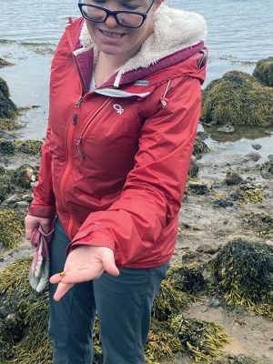 Sippican Land Trust
Alan Harris points out a jellyfish, Carolyn Tepolt shows off a periwinkle and Ospreys can be seen in their nest during the Sippican Lands Trust’s Tidal Pool Exploration on April 16 at Brainard Marsh. Photos by Jeffrey D. Wagner
