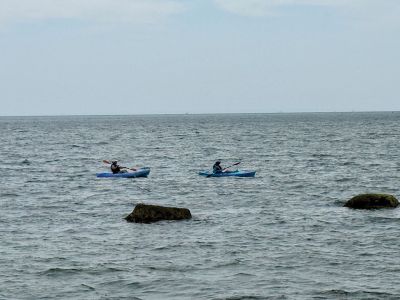 Kayaking
Kayaking off Ned’s Point. Photo by Jennifer Shepley
