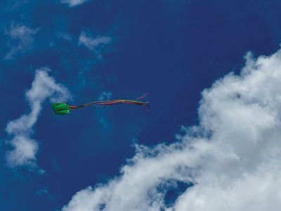 Kite Flying
Kite flying at Ned’s Point. Photo by Jennifer Shepley
