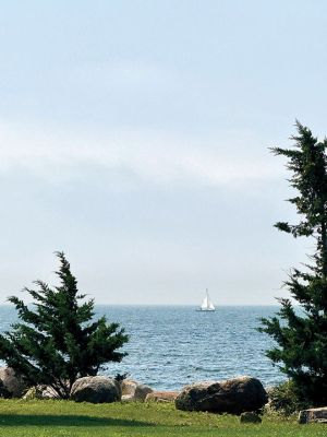 Sailboat
Ned's Point sailboat. Photo by Jennifer Shepley
