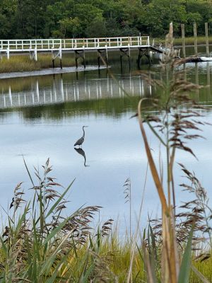 Mattapoisett
Photo by Jennifer Shepley
