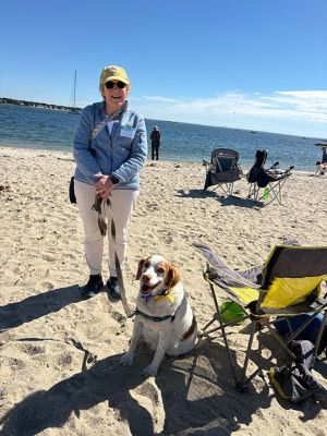 Brittanys
Dozens of Brittanys and their families enjoyed a frolic at Silvershell Beach in Marion on Saturday, October 3. The dog party celebrated New England Brittany Rescue Group’s 25th anniversary of finding forever homes for stray, abandoned, or relinquished Brittanys and other mixed breeds. Photos by Laura Pedulli 
