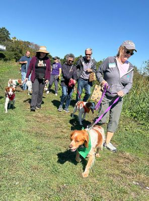 Brittanys
Dozens of Brittanys and their families enjoyed a frolic at Silvershell Beach in Marion on Saturday, October 3. The dog party celebrated New England Brittany Rescue Group’s 25th anniversary of finding forever homes for stray, abandoned, or relinquished Brittanys and other mixed breeds. Photos by Laura Pedulli 
