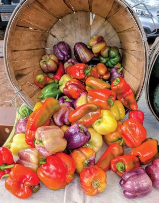 Washburn Farmers Market
A tempting display of bell peppers at Washburn Farmers Market in Marion shows off many shades of autumn. Photo by Jeanne Hopkins. October 1, 2026 edition
