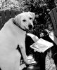 Filename=09-19-02.jpeg
Filesize=324KiB
Dimensions=1200x1471
Date added=Aug 19, 2005 09-19-02.jpeg