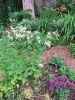 Filename=Garden_3220.jpg
Filesize=316KiB
Dimensions=648x864
Date added=Jul 03, 2025 Garden_3220.jpg