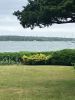 Filename=Garden_3221.jpg
Filesize=142KiB
Dimensions=648x864
Date added=Jul 03, 2025 Garden_3221.jpg