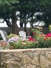 Filename=Garden_3223.jpg
Filesize=210KiB
Dimensions=648x864
Date added=Jul 03, 2025 Garden_3223.jpg