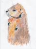 Filename=Groundhog_3.jpg
Filesize=166KiB
Dimensions=648x869
Date added=Jan 28, 2015 Groundhog_3.jpg