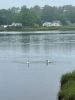 Filename=JenShepley2.jpg
Filesize=88KiB
Dimensions=540x720
Date added=Jun 18, 2025 JenShepley2.jpg