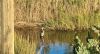 Filename=JenShepley_100925_1.jpg
Filesize=405KiB
Dimensions=1323x720
Date added=Oct 08, 2025 JenShepley_100925_1.jpg