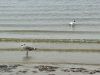 Filename=JenShepley_5036.jpg
Filesize=192KiB
Dimensions=960x720
Date added=Aug 14, 2025 JenShepley_5036.jpg