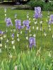 JenShepley_9848.jpg