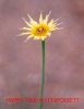 Filename=L_Jardin1-_0.jpg
Filesize=32KiB
Dimensions=522x677
Date added=Aug 15, 2007 L_Jardin1-_0.jpg
