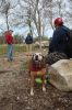 Filename=MLT-Dog-Walk-050125-Mick-2037.jpg
Filesize=167KiB
Dimensions=480x720
Date added=Apr 30, 2025 MLT-Dog-Walk-050125-Mick-2037.jpg